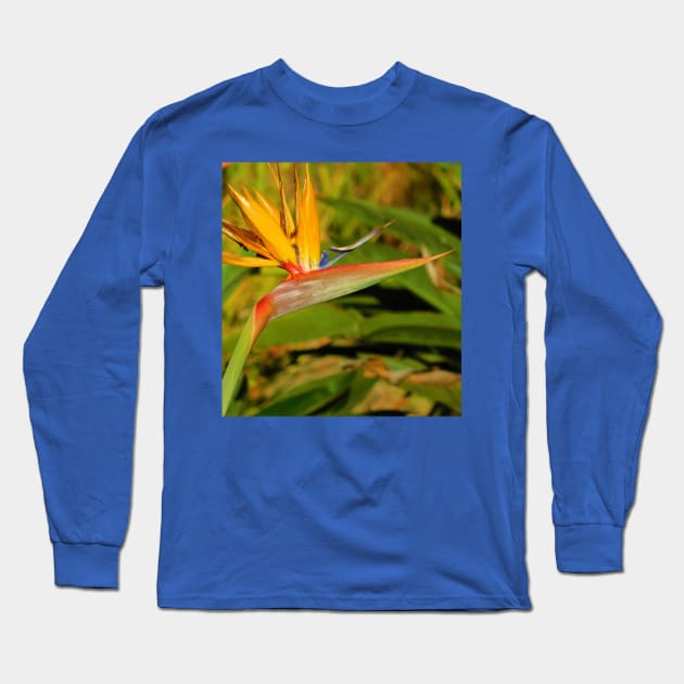 Bird of paradise Long Sleeve T-Shirt by FriendlyComputerHelp